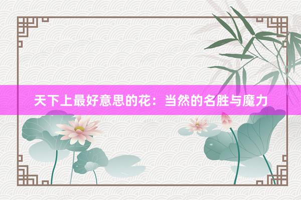 天下上最好意思的花:当然的名胜与魔力